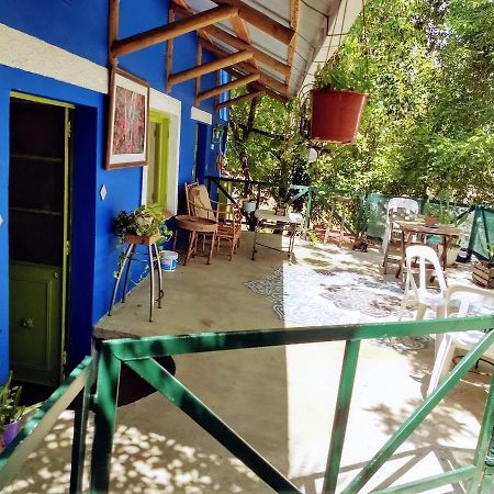 Villa Rosa Residencia De Artistas Тигре Екстериор снимка